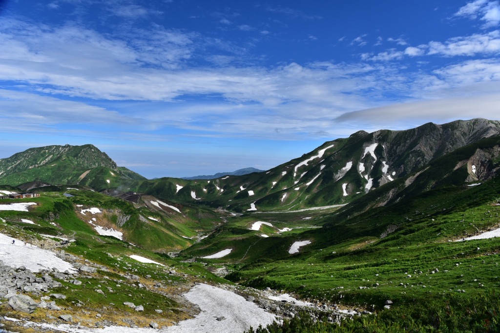 立山のゼブラ