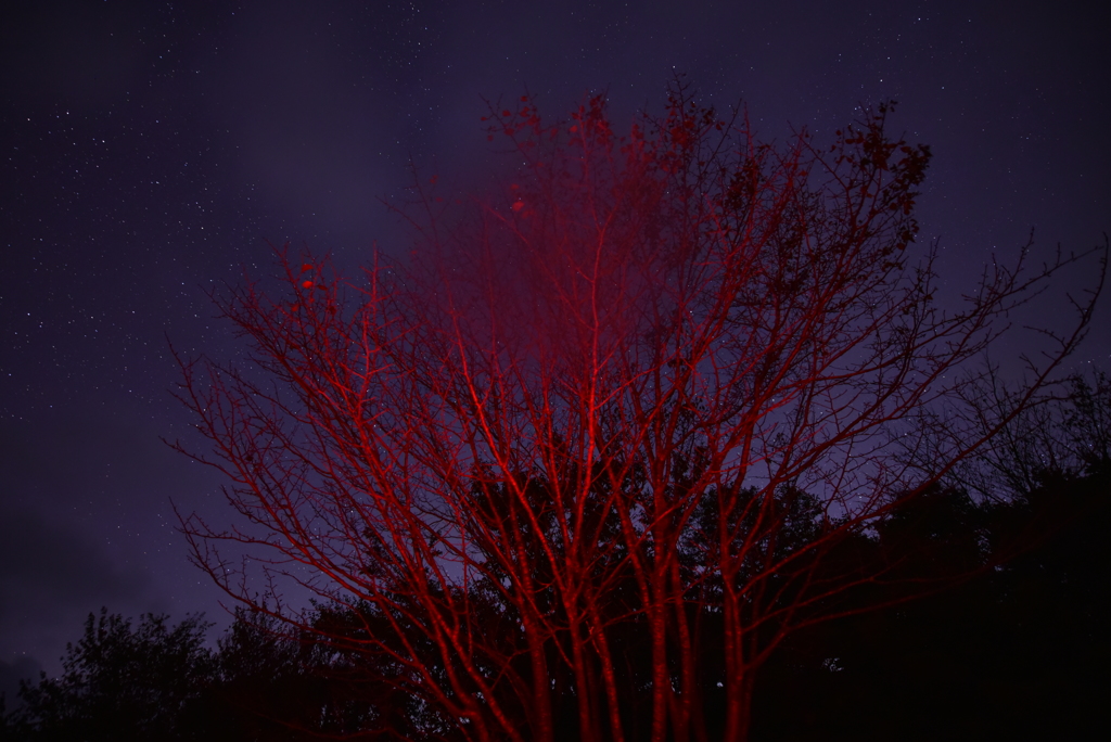 教えてくださいm(_ _)m