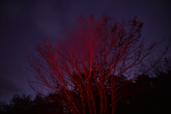 教えてくださいm(_ _)m