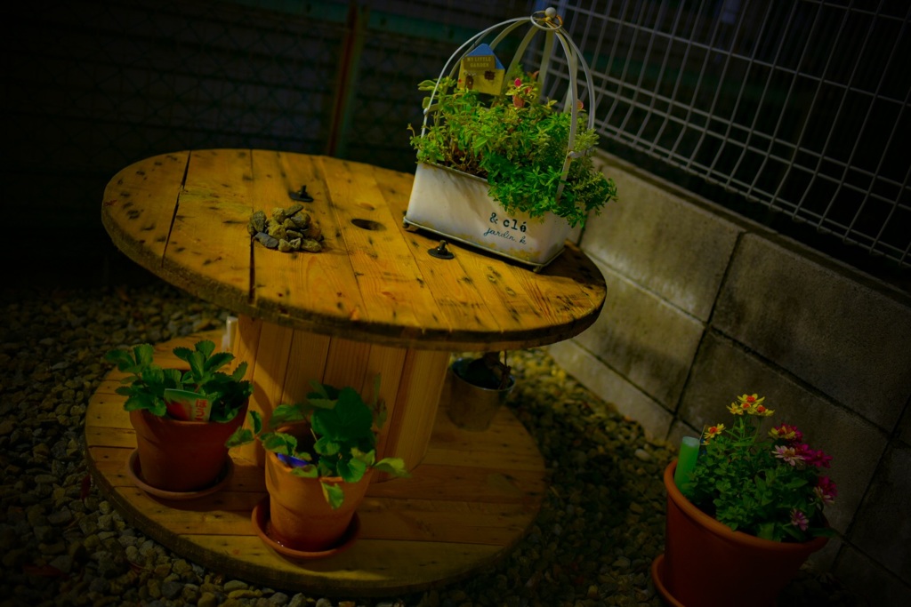 夜の庭