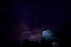 闇夜に浮かぶ悲しげな光