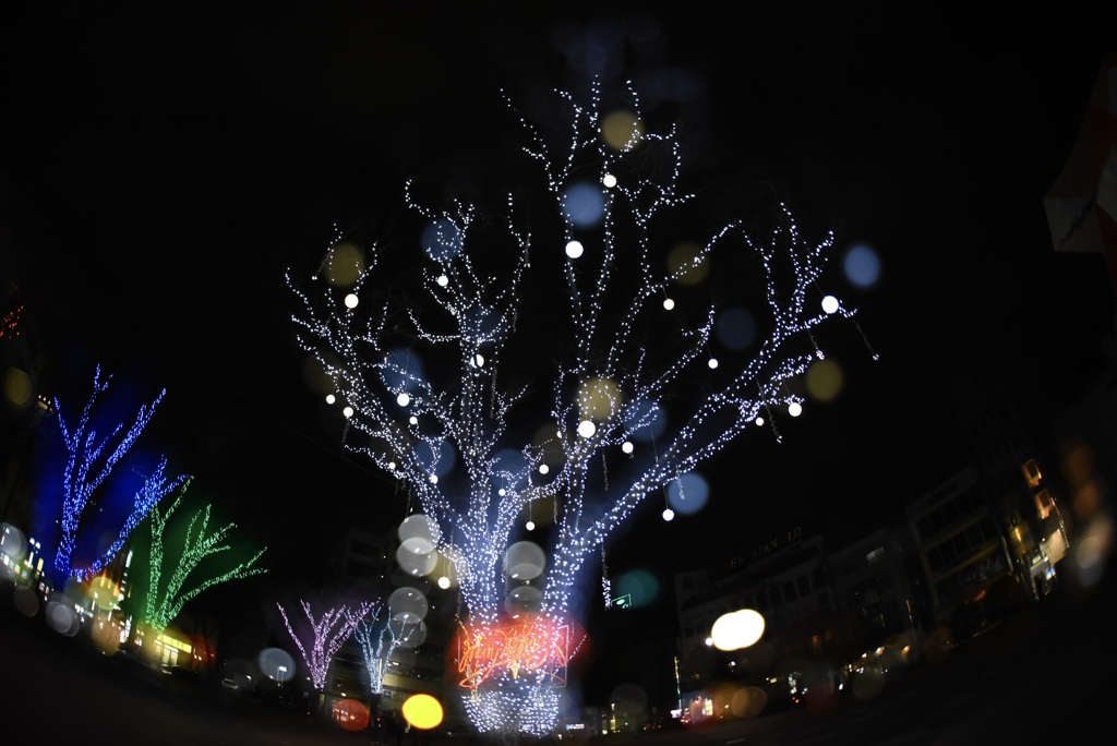 メリークリスマス