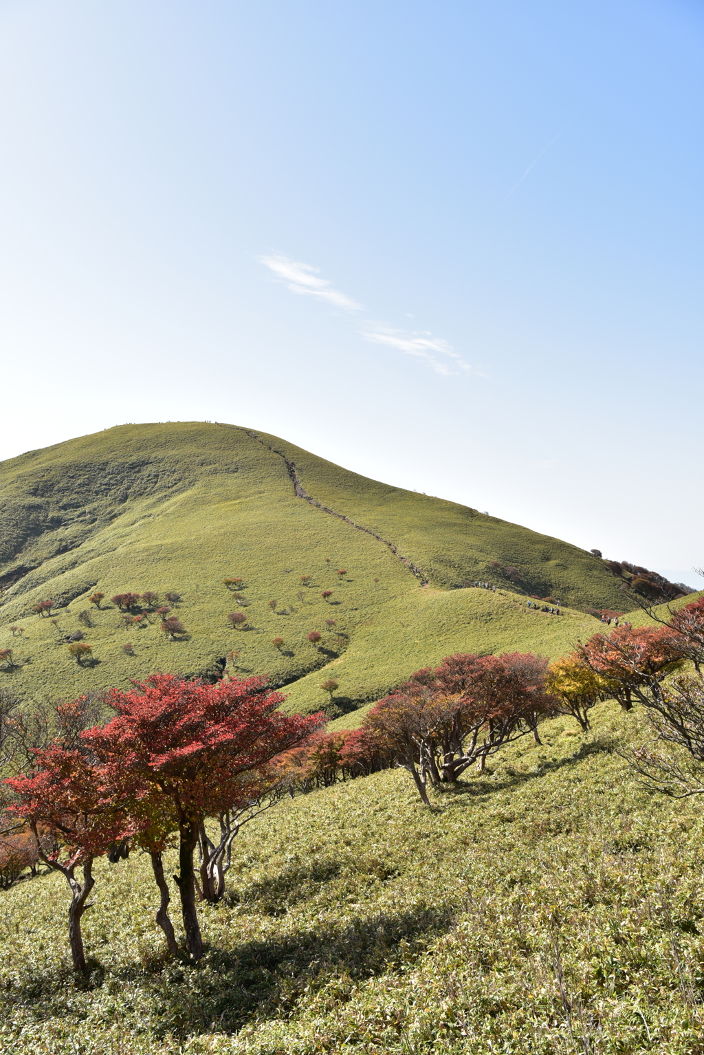 竜ヶ岳
