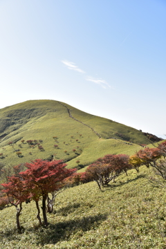 竜ヶ岳