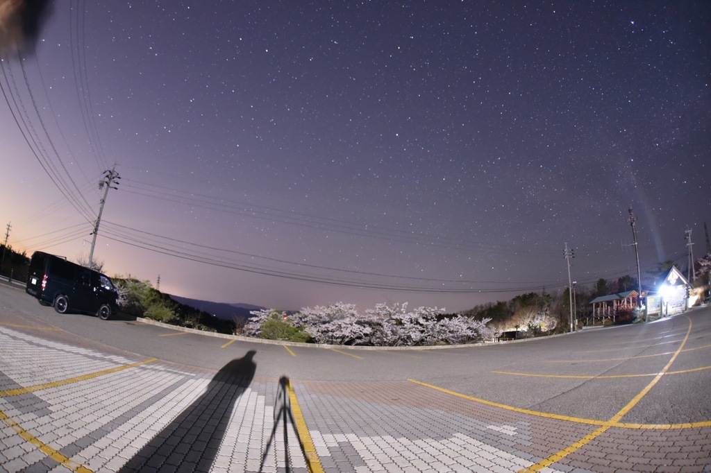 あかんやつ写りました…