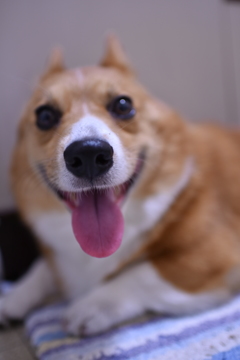 アッカンベッ!!