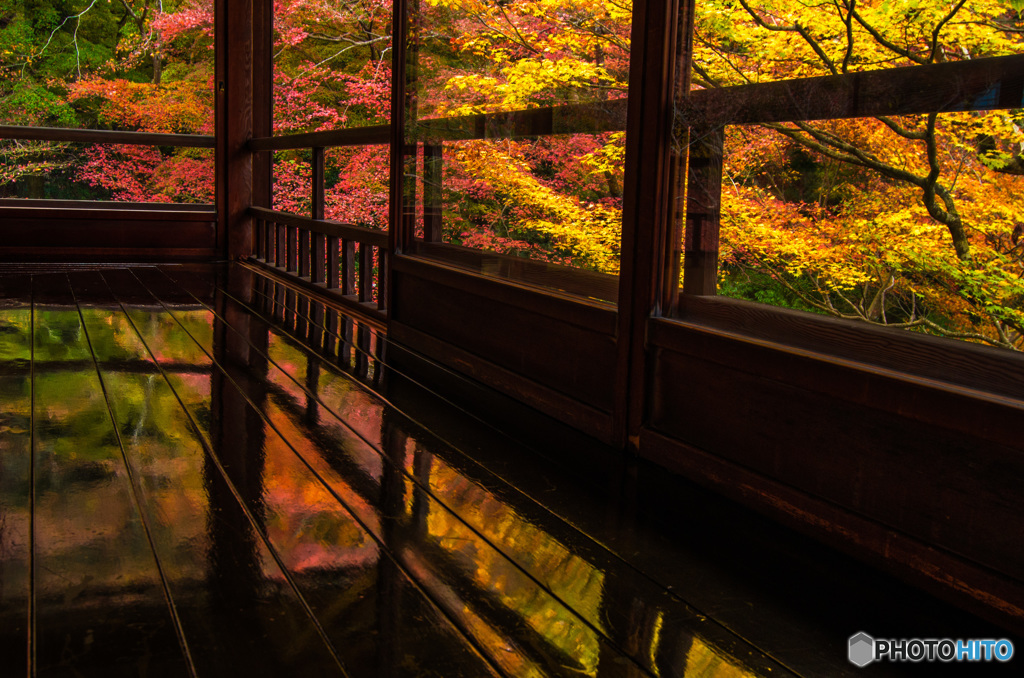 紅葉の回廊