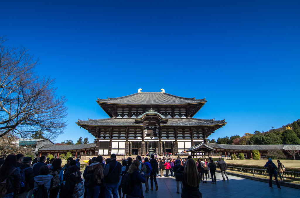 ドンとかまえる東大寺