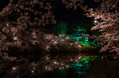 夜桜と高田城
