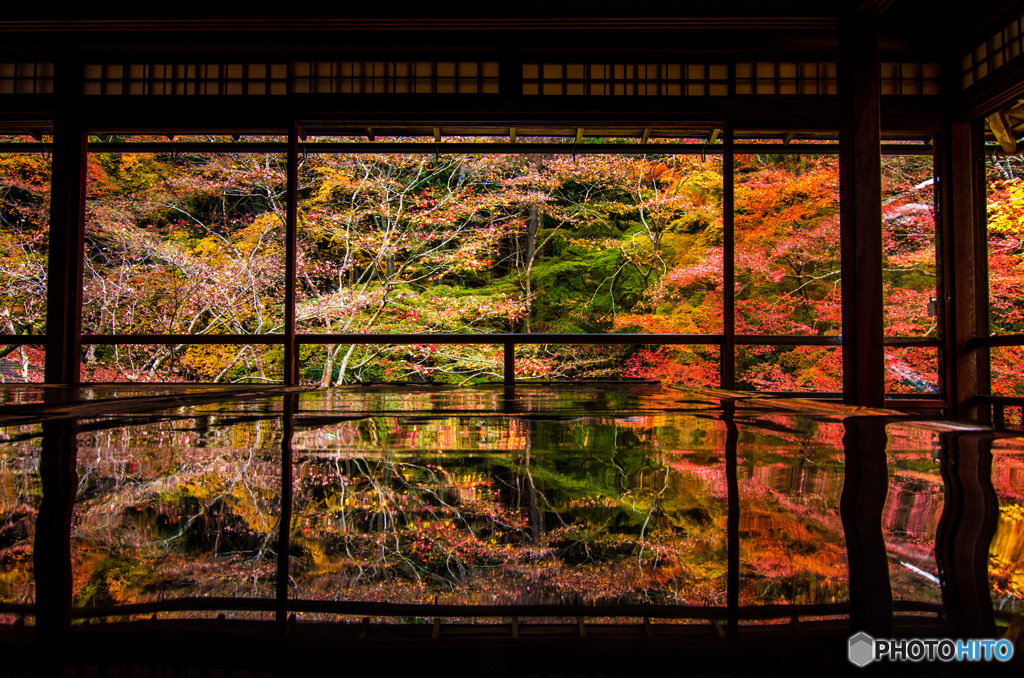 季節を写す部屋