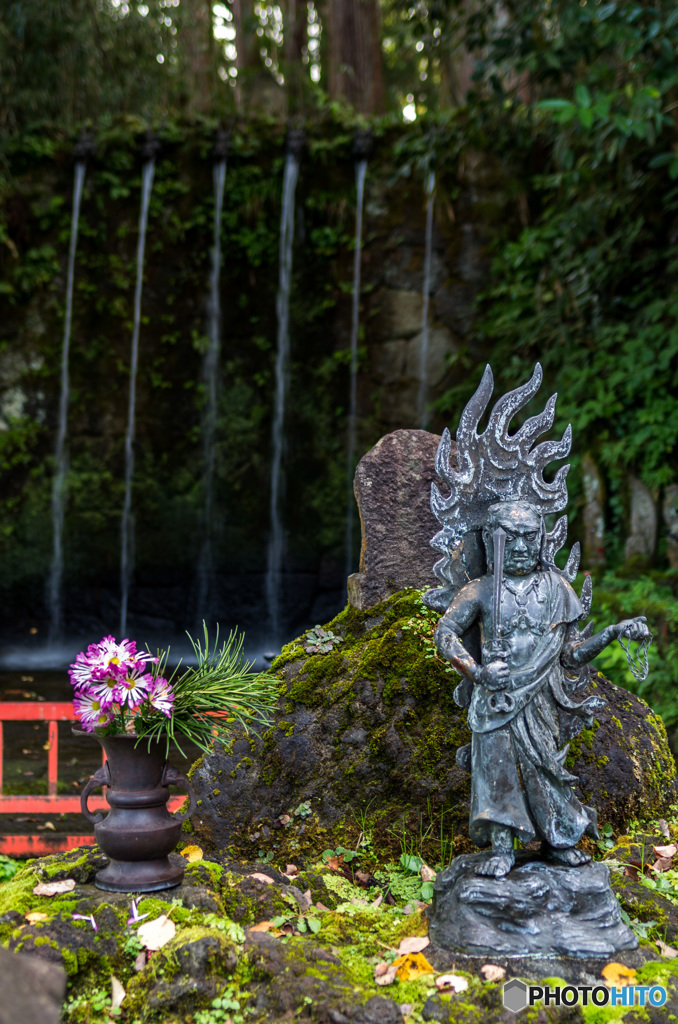 滝と花と仏像と