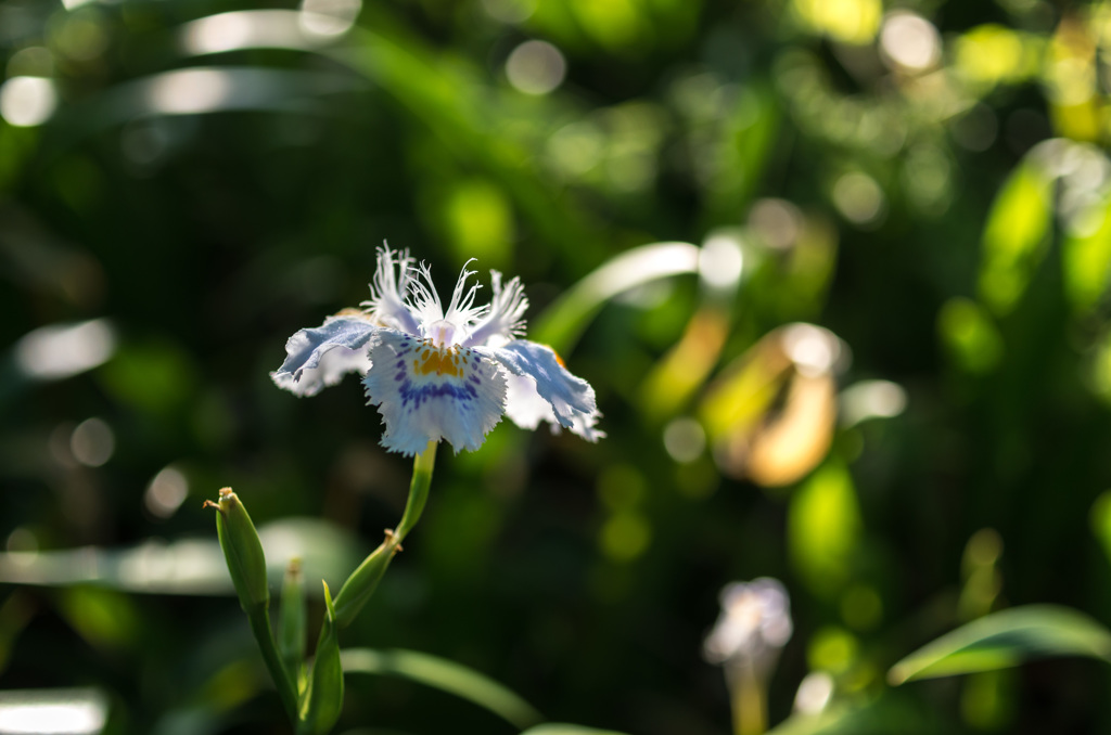 造花の様な質感の花2