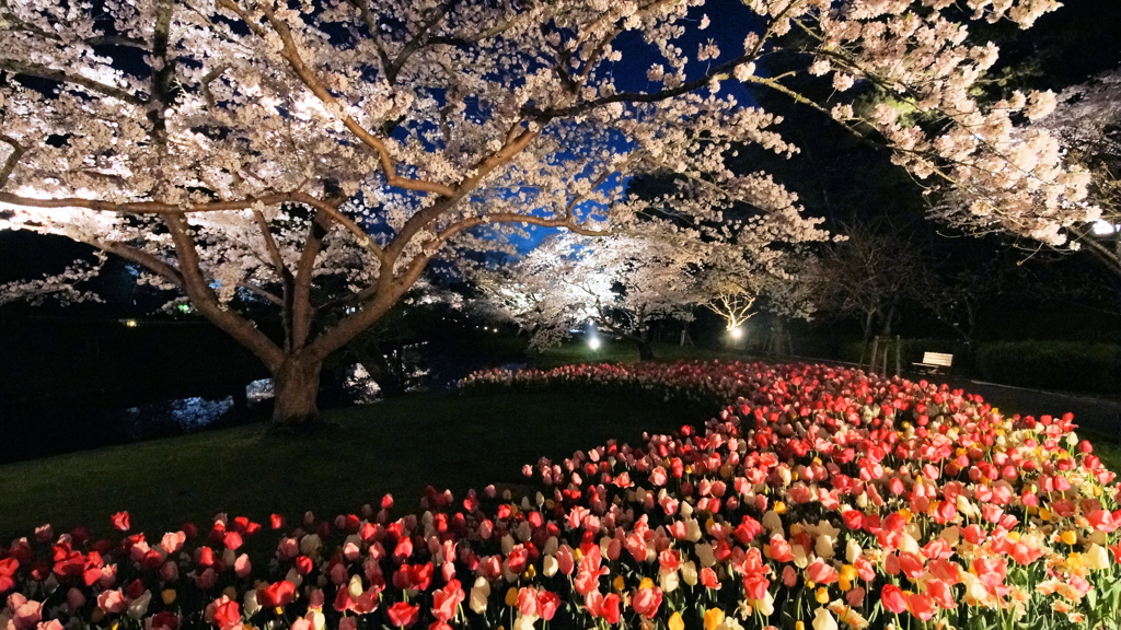 春の夜の幻