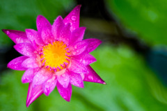 DSC_5233-2