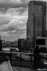 屋上庭園から見る風景