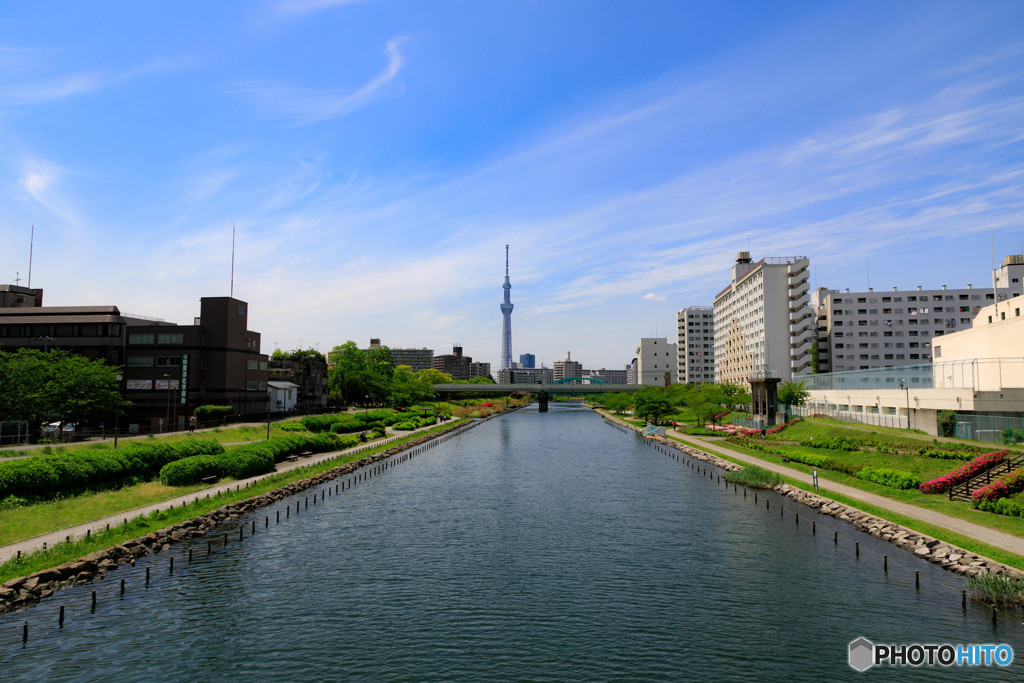 5月のスカイツリー