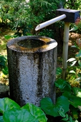 一滴