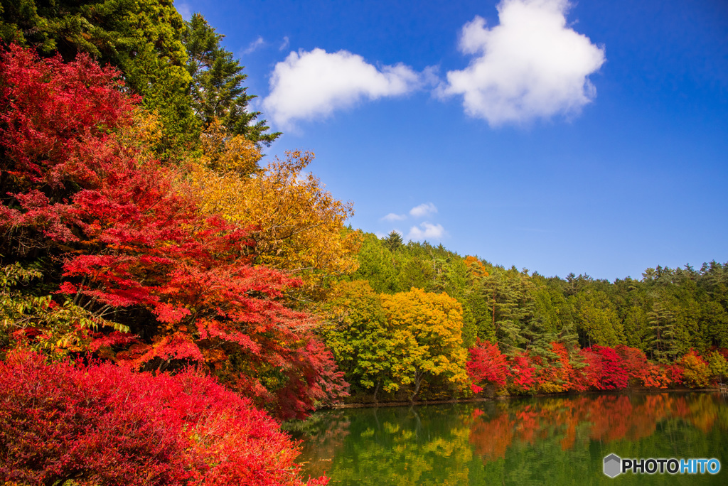 紅葉散歩