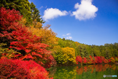紅葉散歩