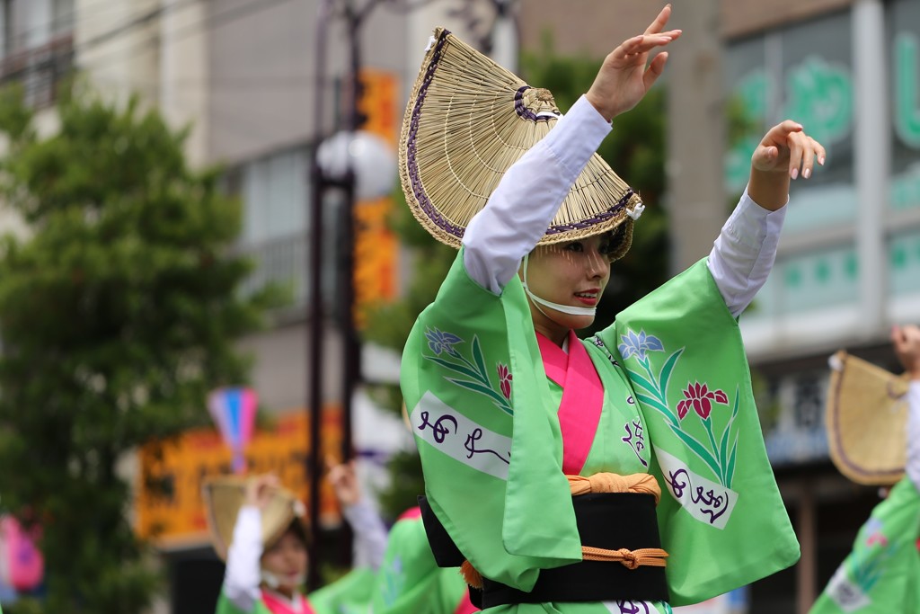 堀切菖蒲園祭り　美しい方