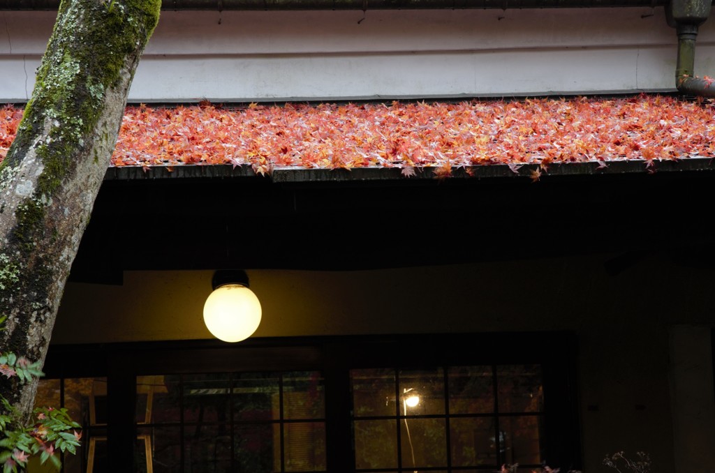 ノスタルジック