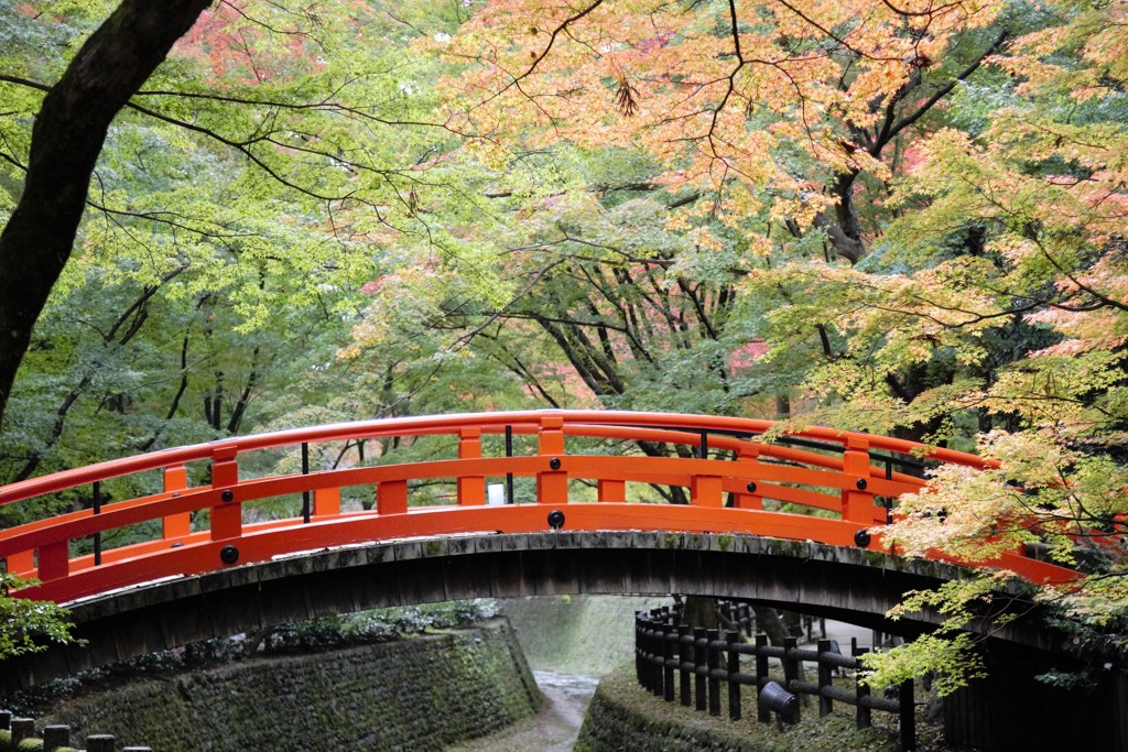 北野天満宮もみじ苑