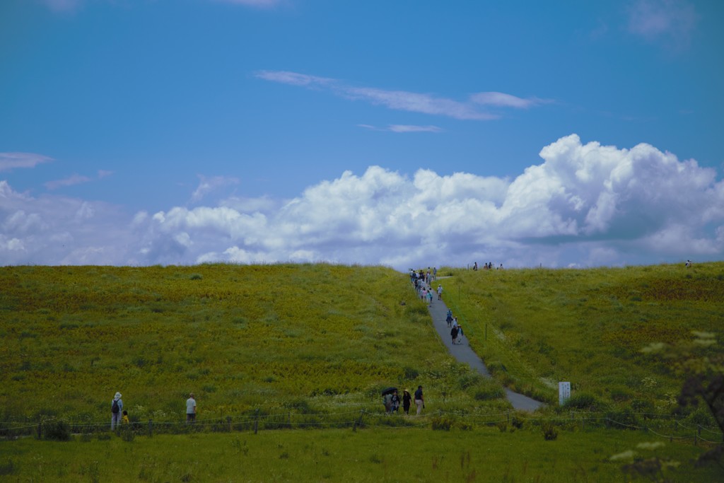 いざ　霧ヶ峰高原
