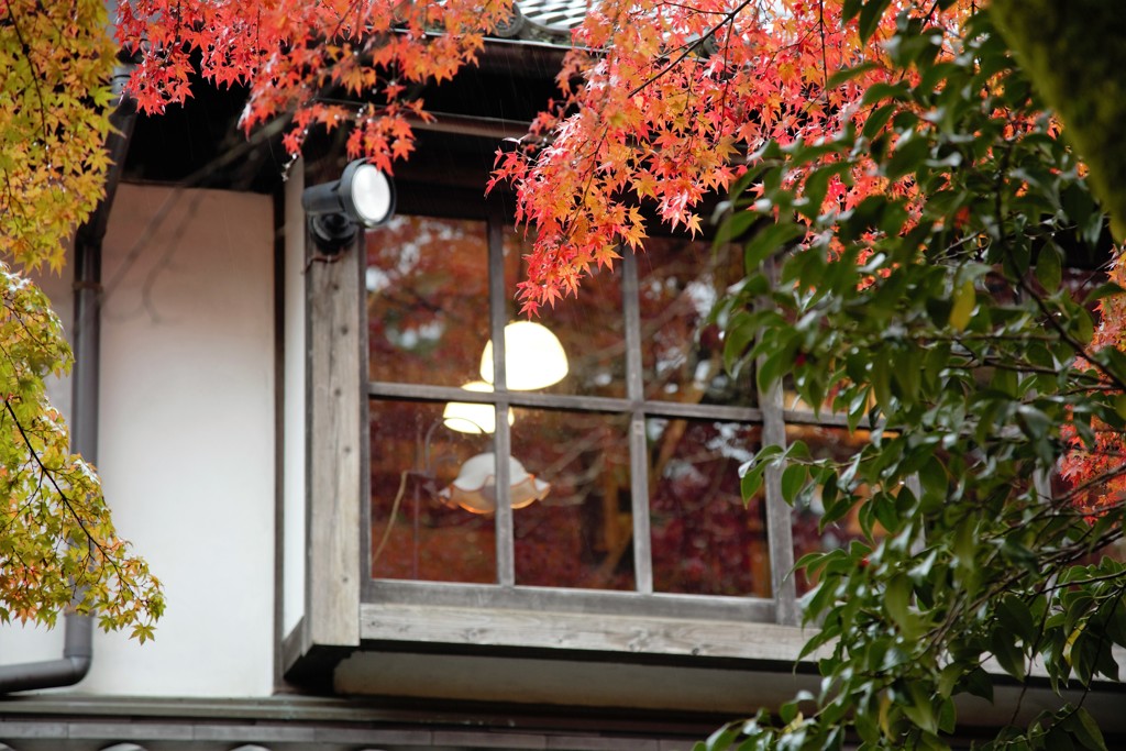 紅葉の窓