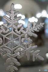 雪の美術館