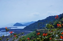 日南海岸