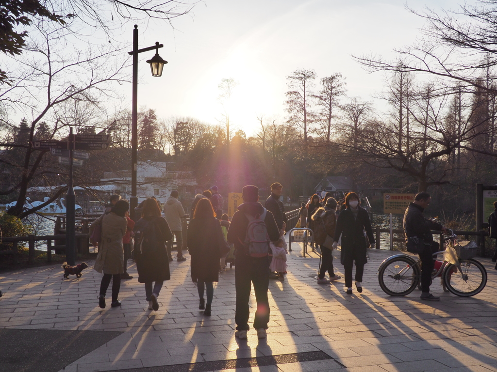 夕暮の公園