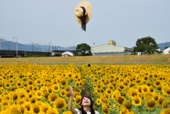 麦わら帽子とひまわり