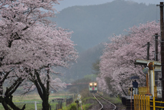 樽見鉄道　朝霧の木知原駅