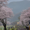 樽見鉄道　朝霧の木知原駅