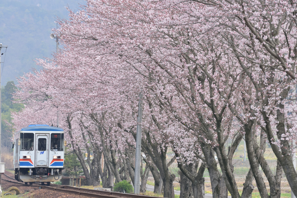 関下有知駅1
