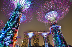 シンガポール植物園2