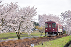 関下有知駅2
