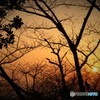 夕日が落ちる前に。