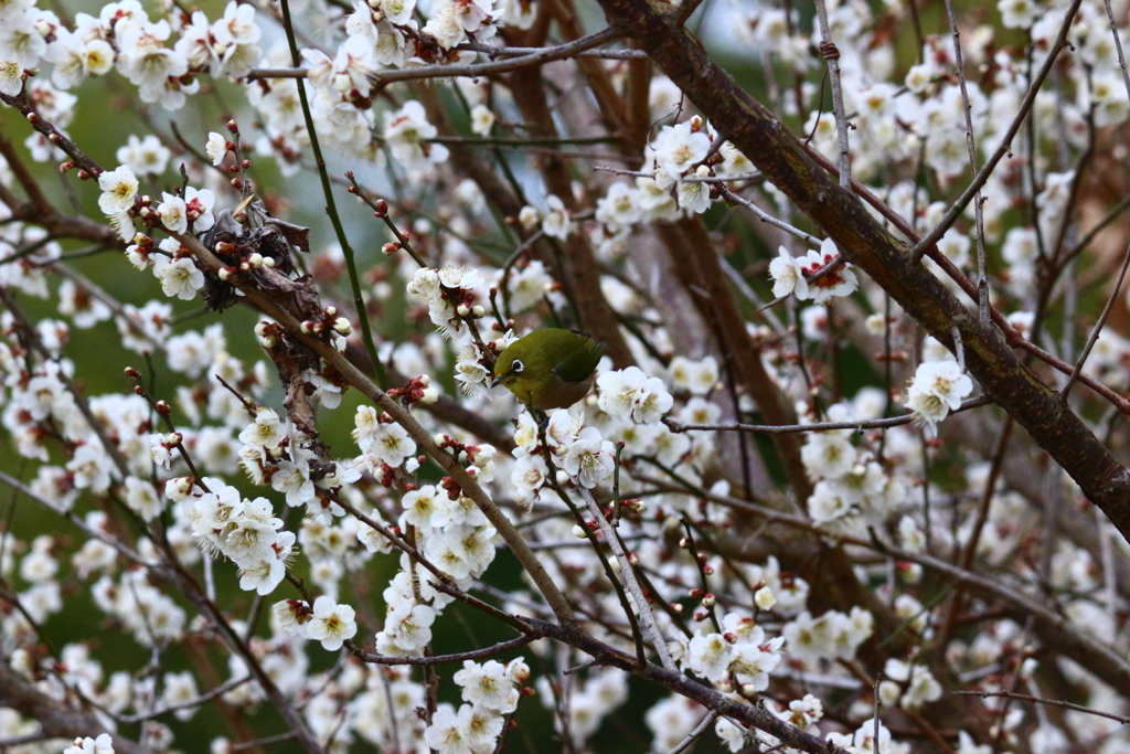 明るくした方がいいっぽい。