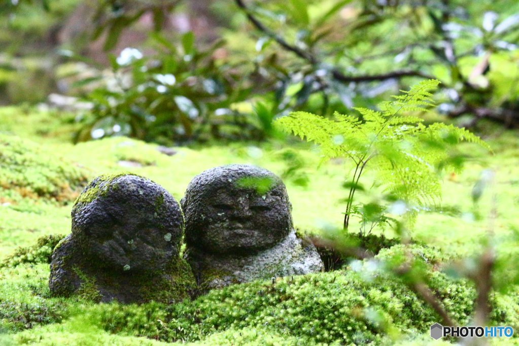 ありがとうありがとう。