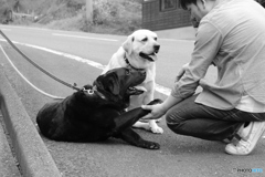 思い出は永遠に。