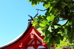 楢と神社