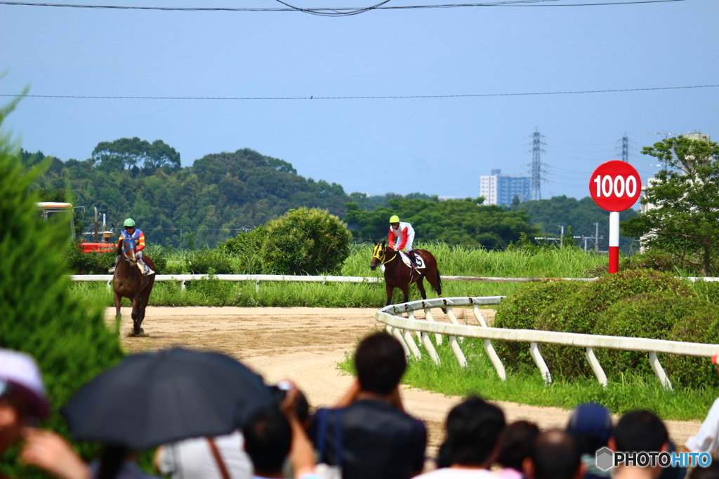 レースを終えて。