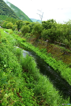 湯布院の奥まった場所。