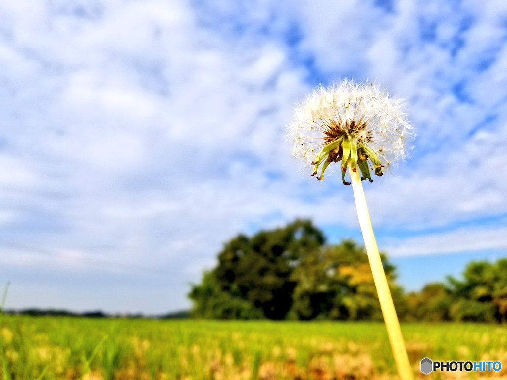 視点を変えれば。