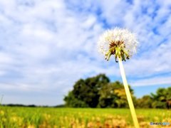 視点を変えれば。