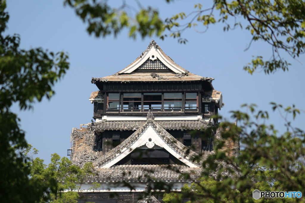 熊本城の今。