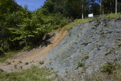 中央構造線北川露頭