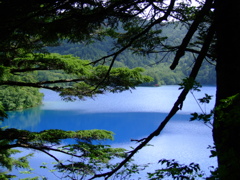 大沼池