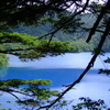 大沼池
